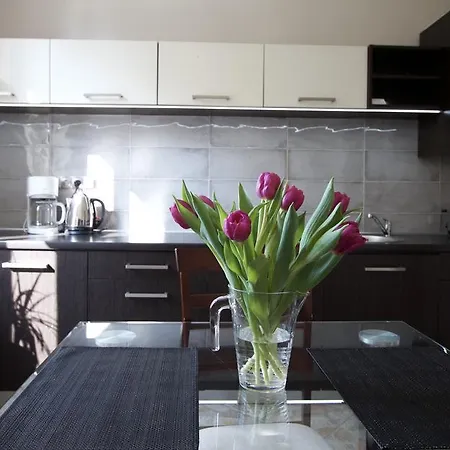 Apartament Splendor Kraków